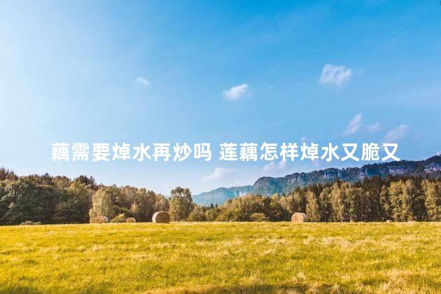 藕需要焯水再炒吗 莲藕怎样焯水又脆又白